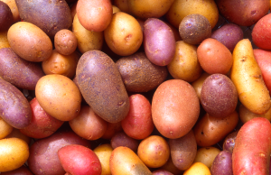 Random Dense packing of spheroids (potatoes). Image K9152-1: US Agricultural Research Service (no copyright).