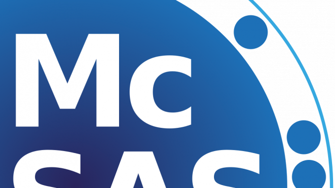 icon McSAS v1.3